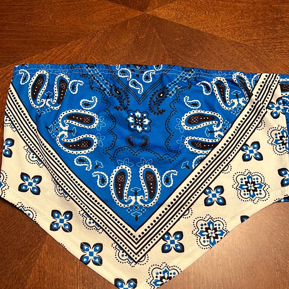 Bandanna crop shirt